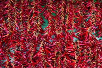 Background of colorful red and green bell peppers over wooden ba