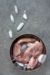 Obraz premium Raw squid with ice cubes on a gray background 
