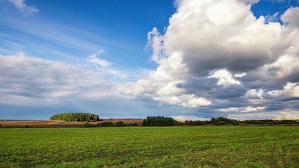 Obraz premium сельское поле после убранного урожая Россия, Урал, Сентябрь