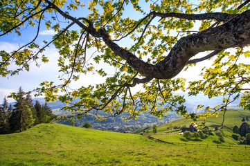 Fototapeta premium beautiful rural landscape with old wooden fence, mountain view