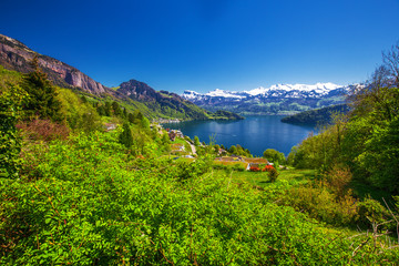 Fototapeta na wymiar Panorama view to village Vitznau, lake Lucerne (Vierwaldstattersee) and Swiss Alps near Luzern city, Switzerland