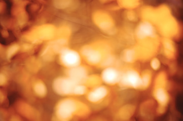 blurred abstract  autumn background