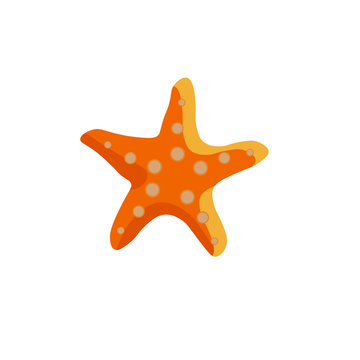 Starfish Isolated on a White Background Vector. Star-shaped echinoderms. Could be also used as star icon, ranking mark, star button, star award sign.