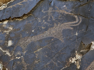 Petroglyph in Sarmishsay, Uzbekistan