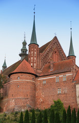 Fototapeta na wymiar Frombork Cathedral, place where Nicolaus Copernicus was buried.