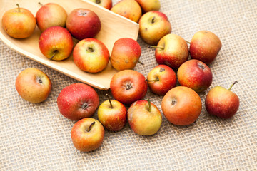 Small, red apples with burlap texture in the background