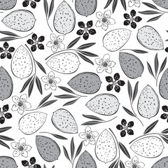 Almond. Seamless vector pattern. Hand drawn monochrome illustration