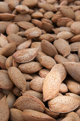 Obraz premium Close-up view of some just picked almonds of the variety called Pizzuta