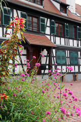 traditional alsacian house with flowers