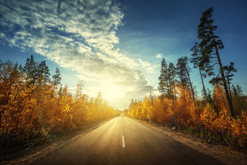 road in north forest in autumn time