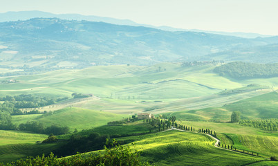 tuscany sprig landscape,  Italy