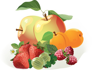 
The illustration shows a set of different types of fruit. Achieved isolated on white background, on separate layers.