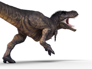 3D rendering of Tyrannosaurus Rex dominating the land, isolated on white background.