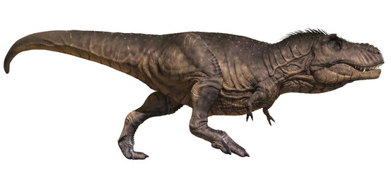 3D rendering of Tyrannosaurus Rex running, isolated on white background.