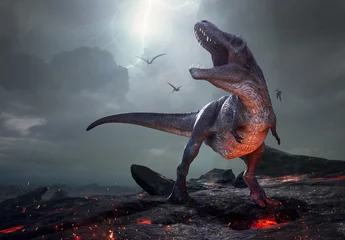 Fotobehang 3D rendering of Tyrannosaurus Rex near extinction. © Herschel Hoffmeyer