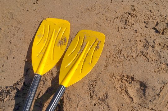 Yellow oars on sandy beach with black handles for rowing