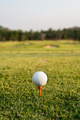Golf ball on a tee against the golf course. 