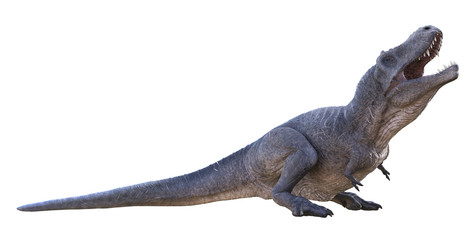 3D rendering of Tyrannosaurus Rex basking in the sun, isolated on a white background.