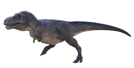 3D rendering of Tyrannosaurus Rex running, isolated on a white background.