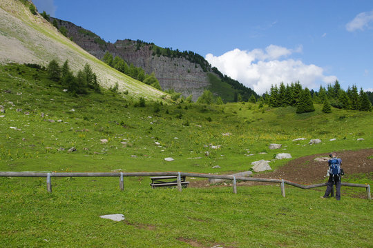 A path in the middle of a mountain green meadow