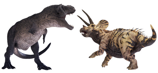 3D rendering of Tyrannosaurus Rex facing off against Triceratops horridus, isolated on a white background.
