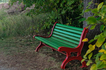 a wooden green park bench under trees in the forest
