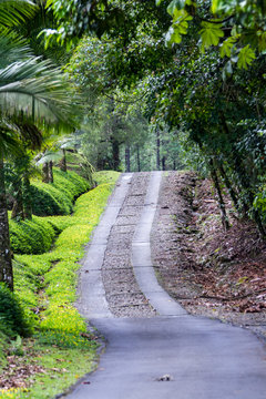 Driveway in Costa Rica