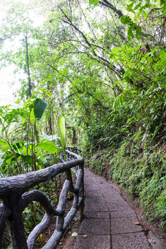 nature trail in Costa Rica