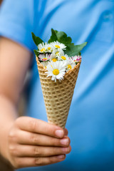  Daisies in Waffle Cone