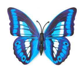 blue fake butterfly isolated