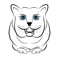 Vector sketch of a long-haired tabby cat's face