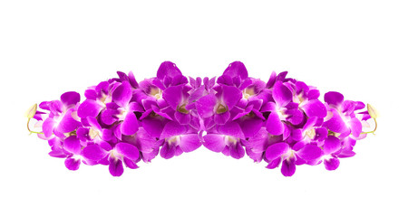 Naklejka na ściany i meble beautiful purple orchid flowers cluster isolated on white backgr