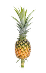  ripe  pineapple isolated on white background