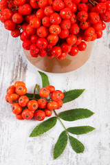 Bunch of red rowan with leaves on rustic wooden background
