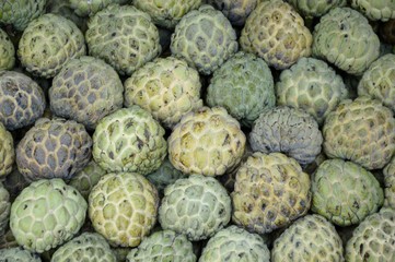 green Sugar Apple fruit