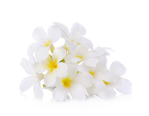 Naklejka na ściany i meble Tropical flowers frangipani (plumeria)