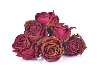 Dry roses isolated on white background