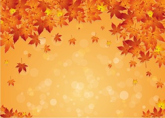 Autumn Leaf Background