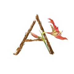 illustration of text with flower on white background