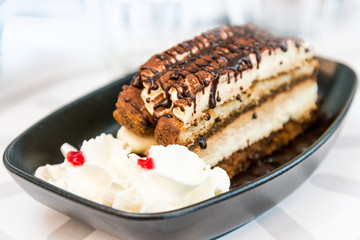 Classical Dessert homemade Tiramisu Cake