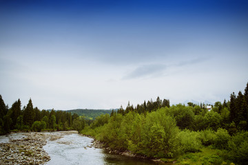 mountain river in summer