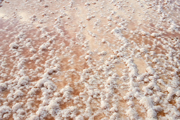 Salt formations in a dried lake of the saltworks near Burgas, Bulgaria, Eastern Europe