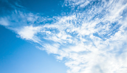 Naklejka na ściany i meble Blue sky with white altocumulus clouds