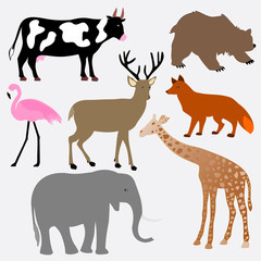 baby animals