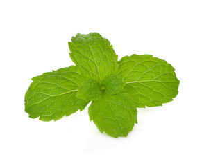 Fresh mint isolated on the white background.