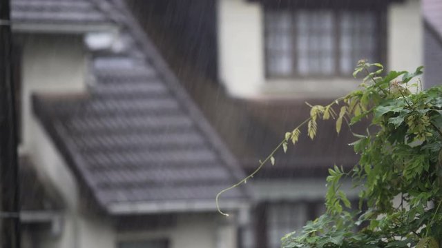 Summer rain falling on rural houses, raindrops flowing down along roof