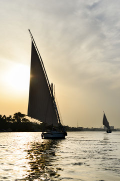 Cairo, Egypt - Traditional boats named "Felluca" in Nile River at sunset
