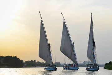 Fototapeta premium Cairo, Egypt - Traditional boats named 