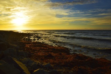 Obraz premium Sunset on the most west beach in Iceland