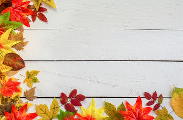 Colorful autumn leaves - Background